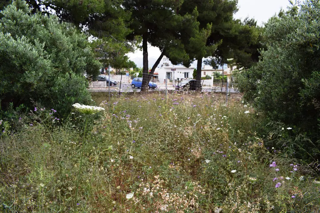 Land Of 392 M² In Crete