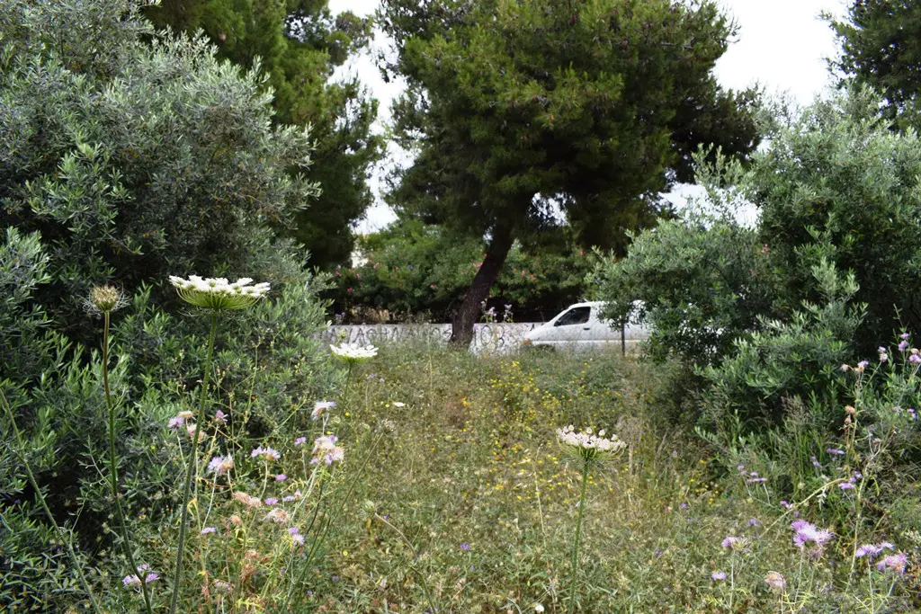 Land Of 392 M² In Crete