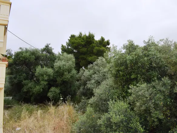Land In Chania, Greece