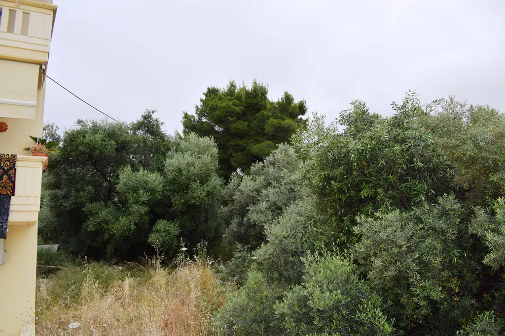 Land Of 392 M² In Crete