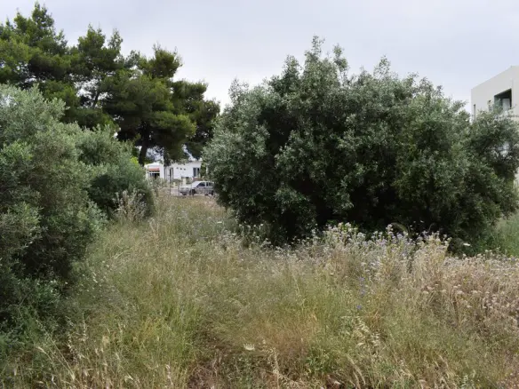 Land In Chania, Greece