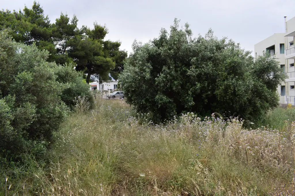 Land Of 392 M² In Crete