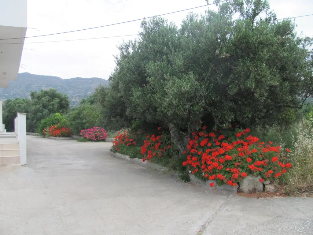 Business Of 579 M² In Crete