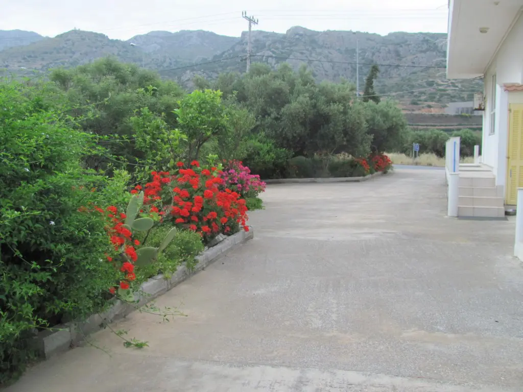 Business Of 579 M² In Crete