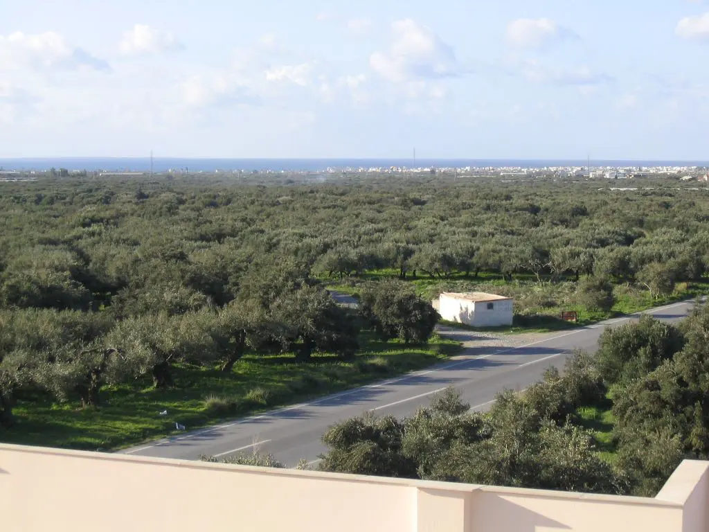 Business Of 579 M² In Crete