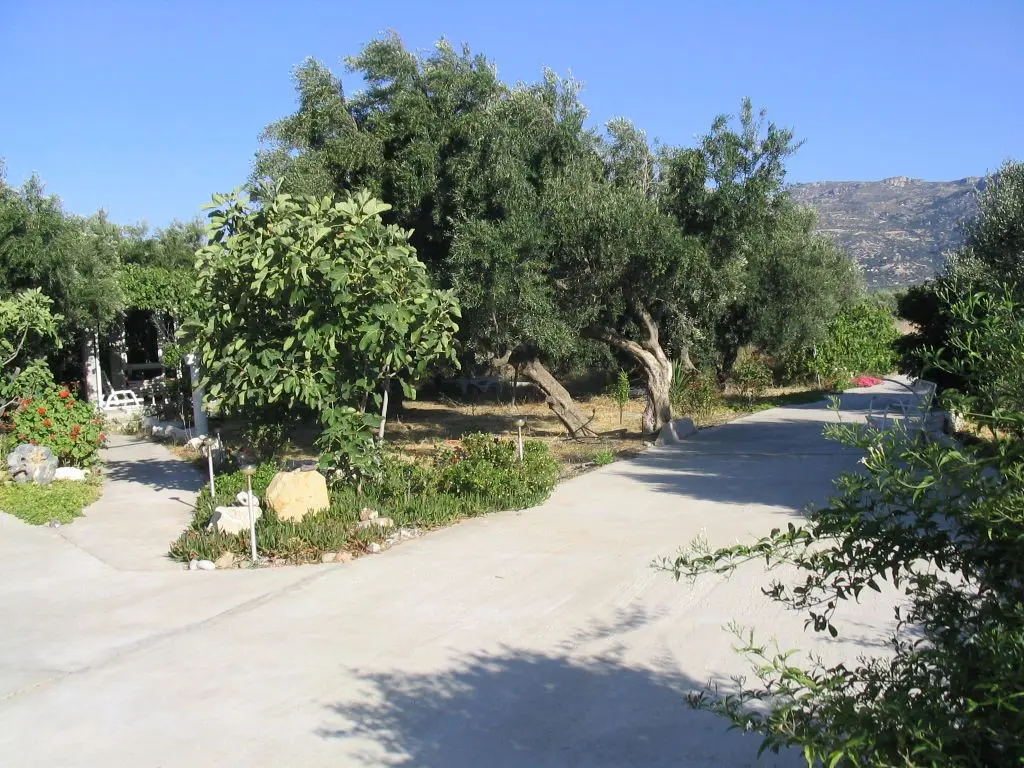 Business Of 579 M² In Crete