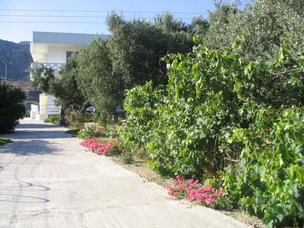 Business Of 579 M² In Crete