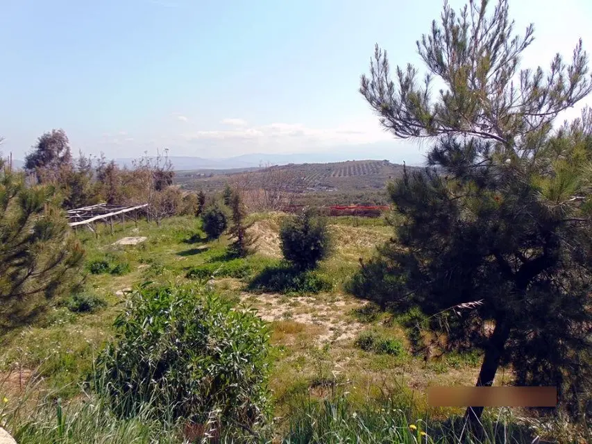 Business Of 150 M² In Crete
