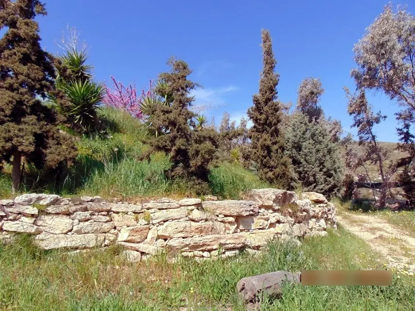 Business Of 150 M² In Crete