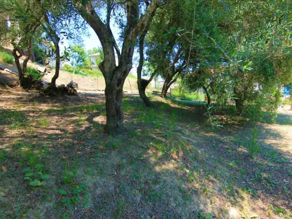 Land In Corfu, Greece