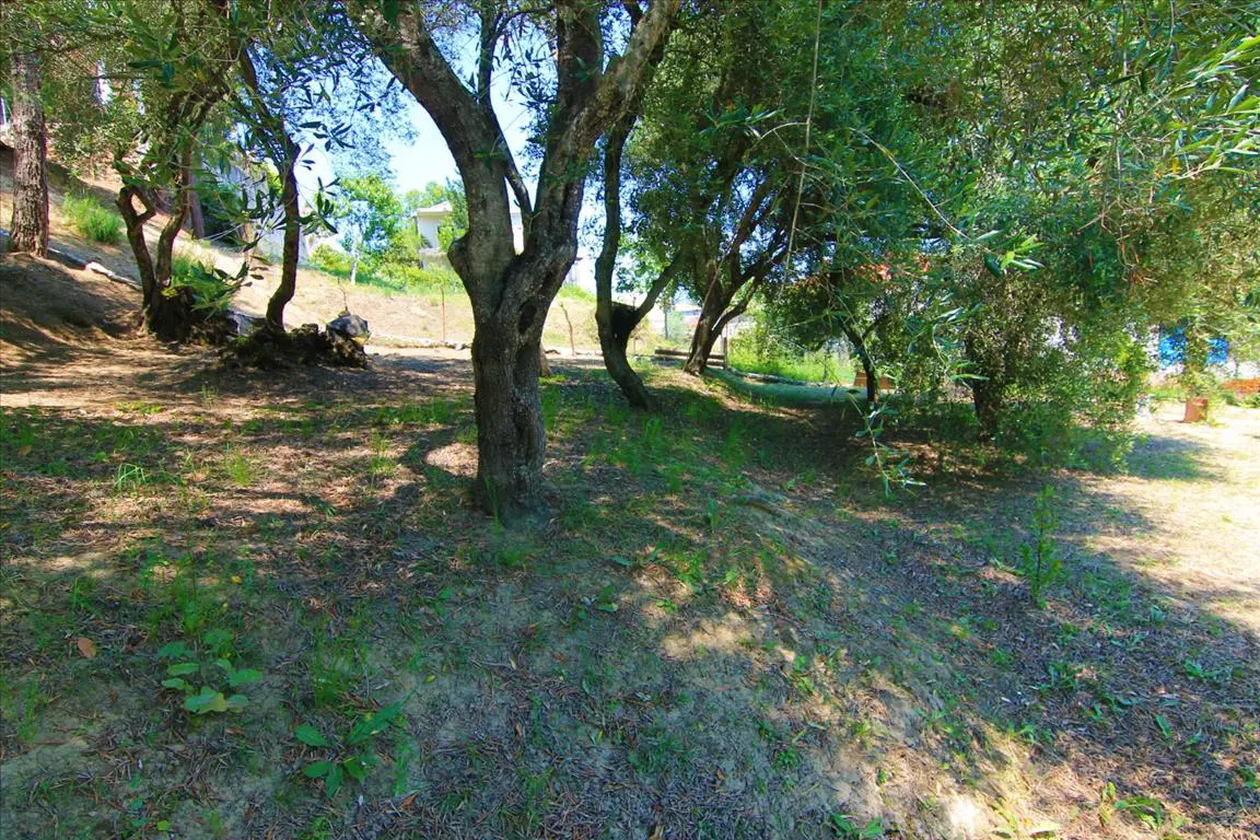 Land Of 1350 M² In Corfu