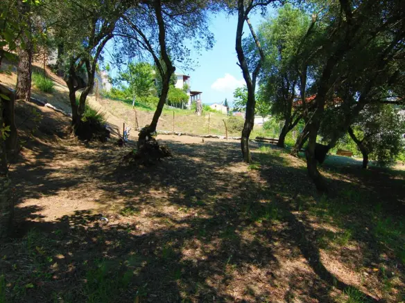 Land In Corfu, Greece