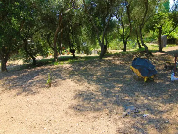 Land Of 1350 M² In Corfu