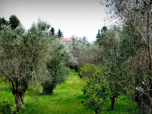 Freistehendes Haus mit 6 Schlafzimmern in Lesbos – Loutropoli Thermis, Griechenland (330 m²)