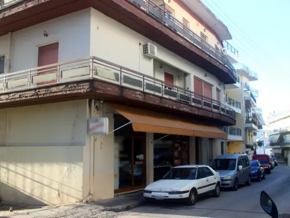 Business Of 310 M² In Epirus