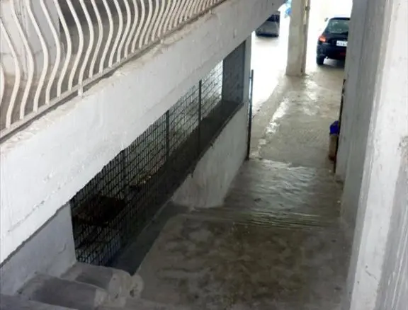 Business In Arta, Greece (310 M²)
