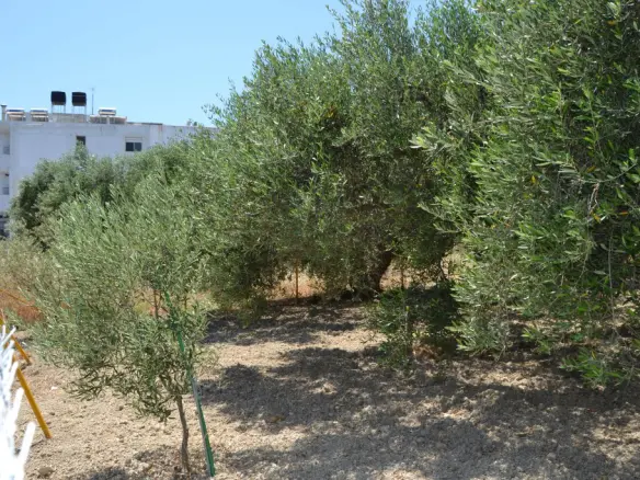 Land In Heraclion Cretes, Greece