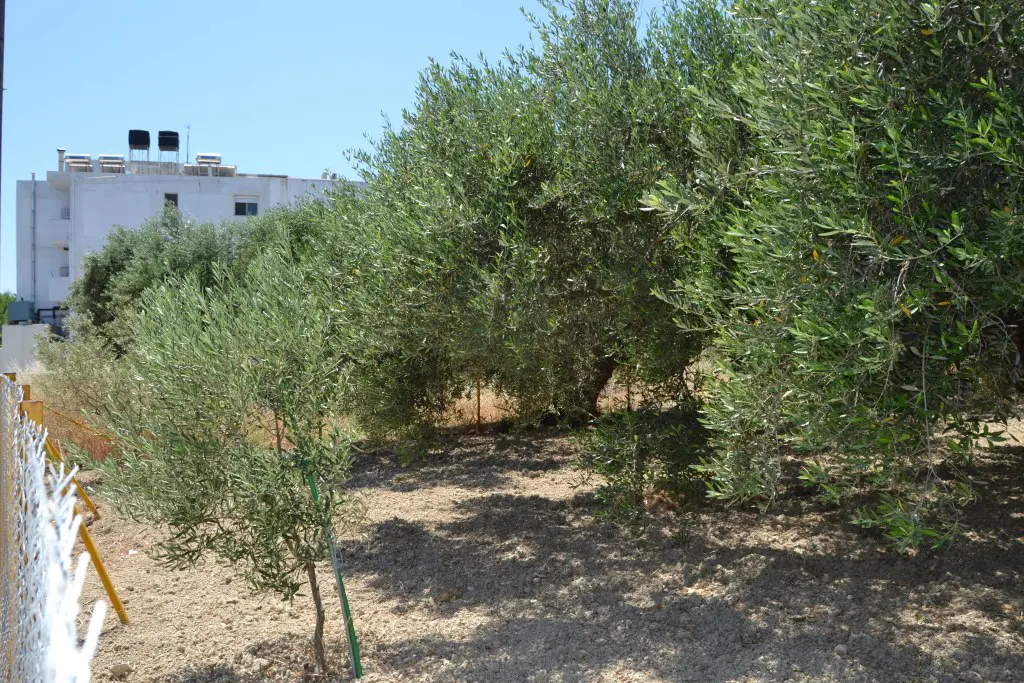 Land Of 390 M² In Crete