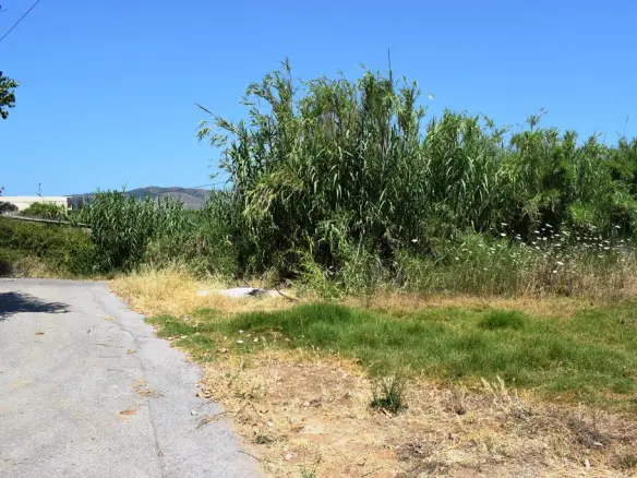 Land Of 1000 M² In Crete