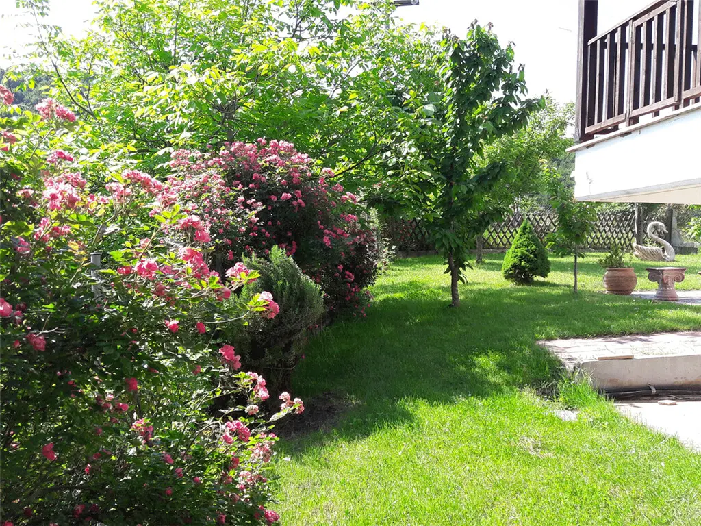 Detached House Of 130 M² In Olympic Coast