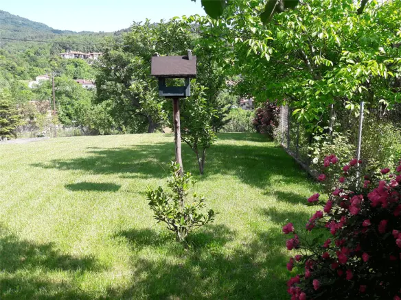 Business In Katerini, Greece (390 M²)