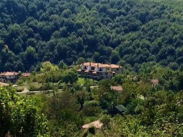 Business In Katerini, Greece (390 M²)