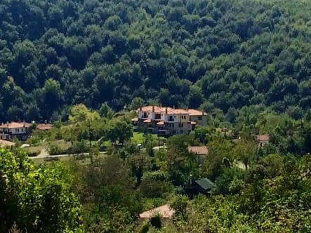 Business Of 390 M² On The Olympic Coast