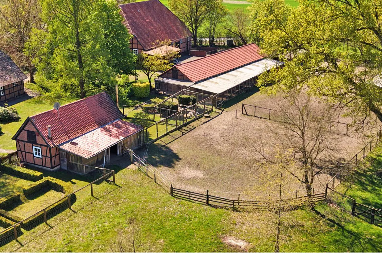 House Of 572 M² In Bleckede