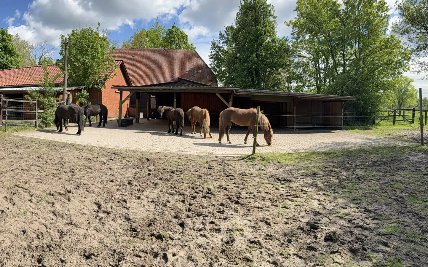 House Of 572 M² In Bleckede