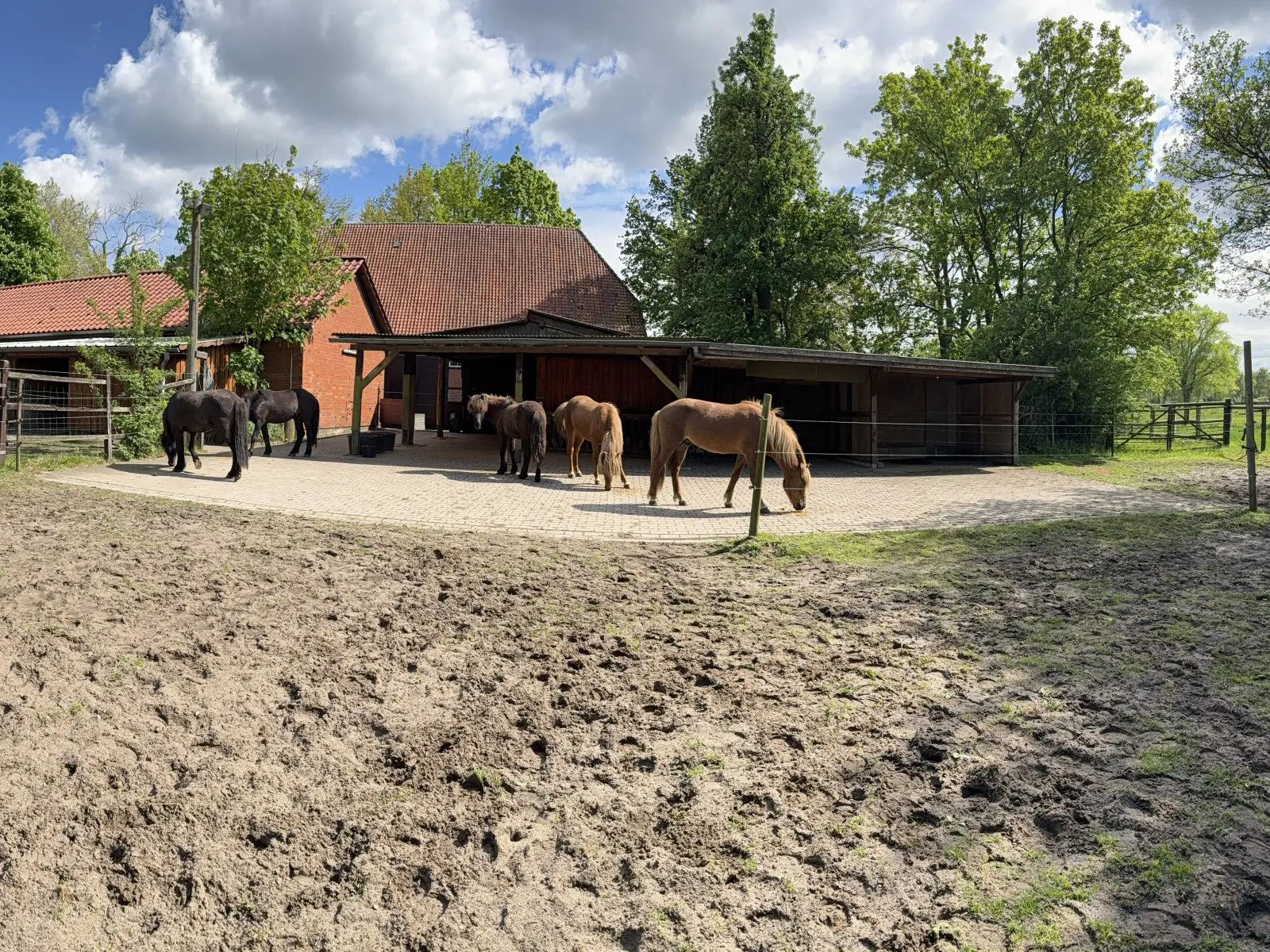 House Of 572 M² In Bleckede