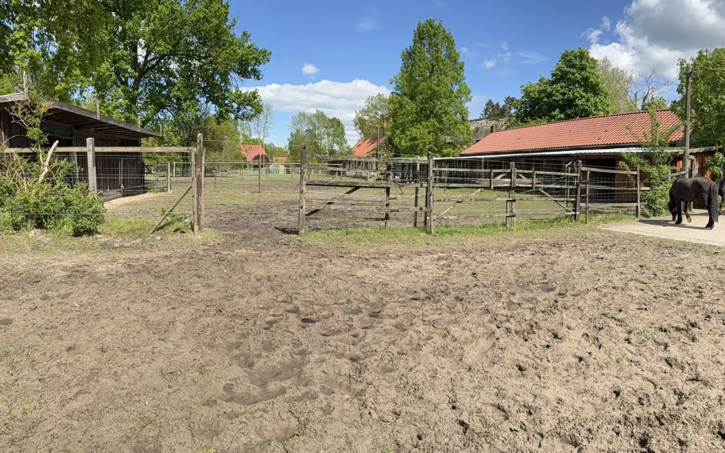 House Of 572 M² In Bleckede