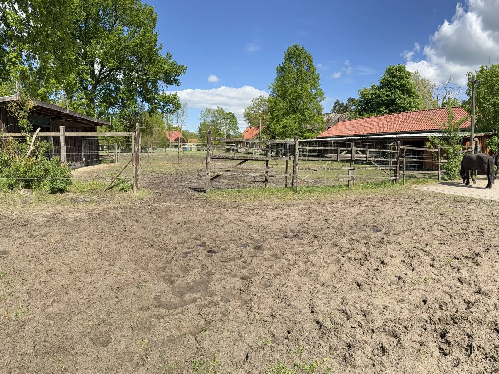 House Of 572 M² In Bleckede