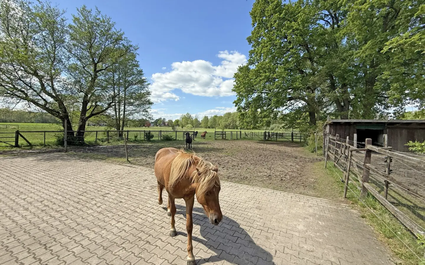 House Of 572 M² In Bleckede