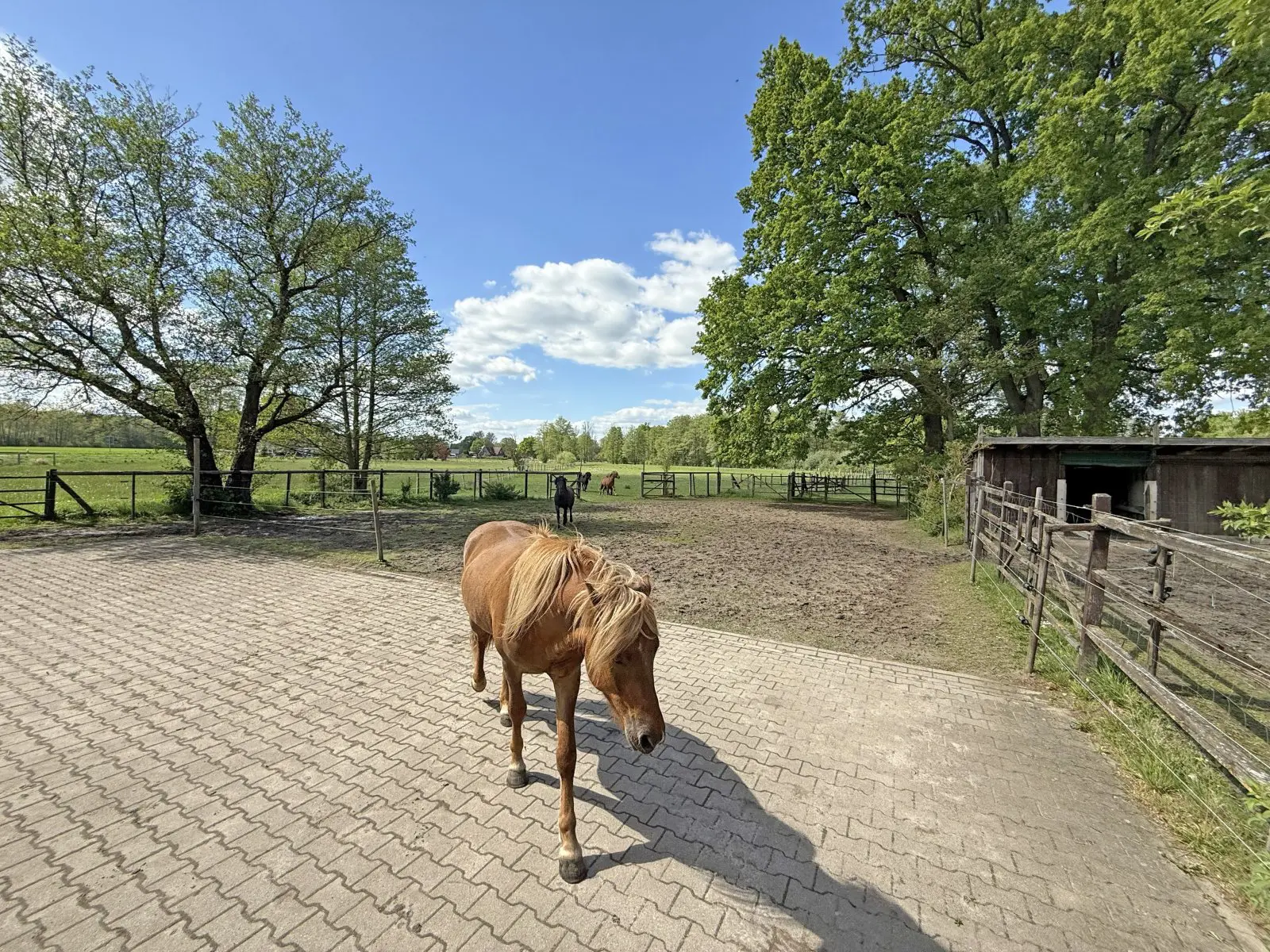 House Of 572 M² In Bleckede