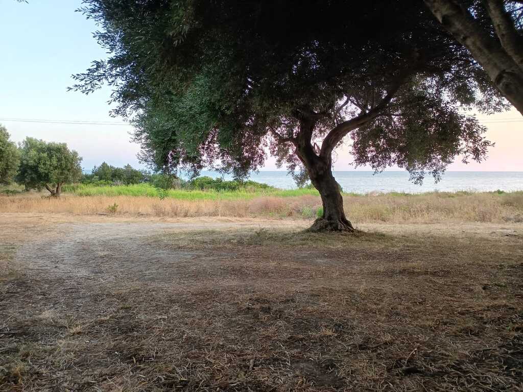 Large Plot Of Land 30000 M² Located In Epirus Region