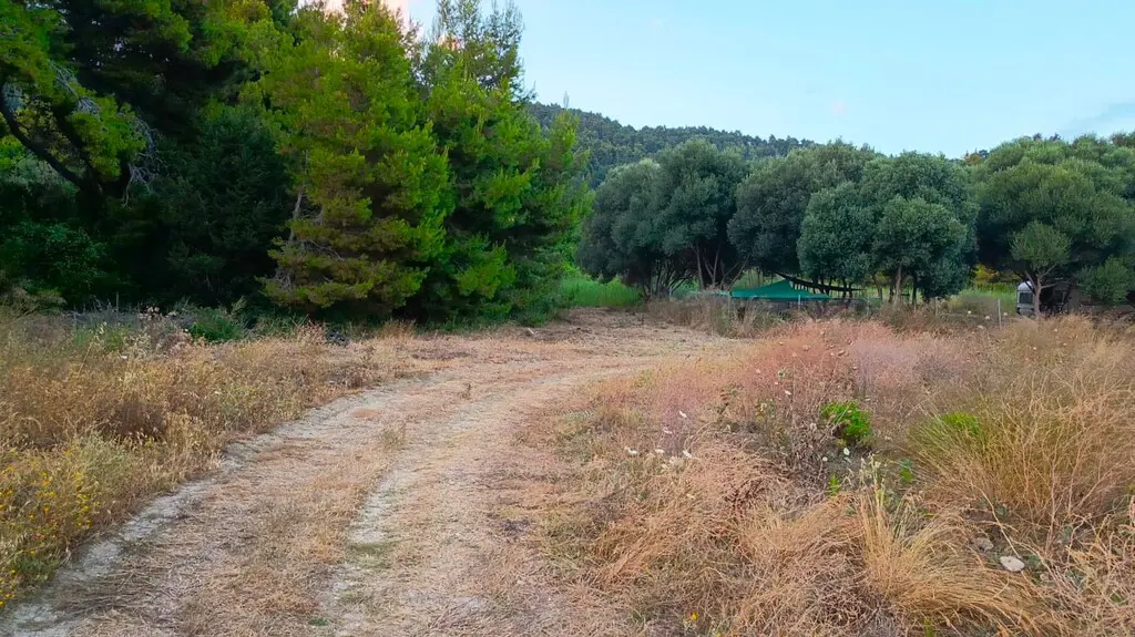 Large Plot Of Land 30000 M² Located In Epirus Region