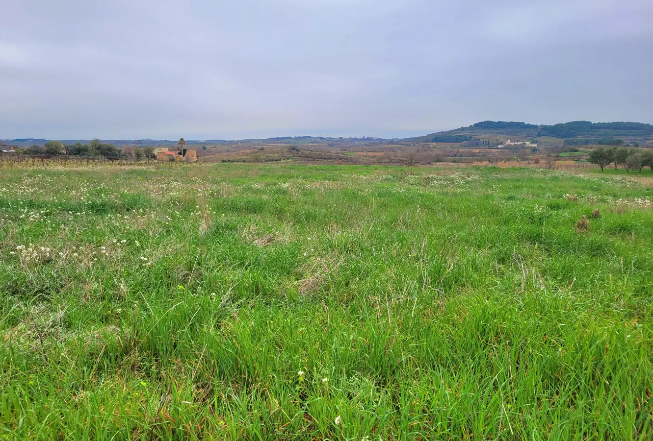 Land In Magalas, France (106.004 M² Plot)