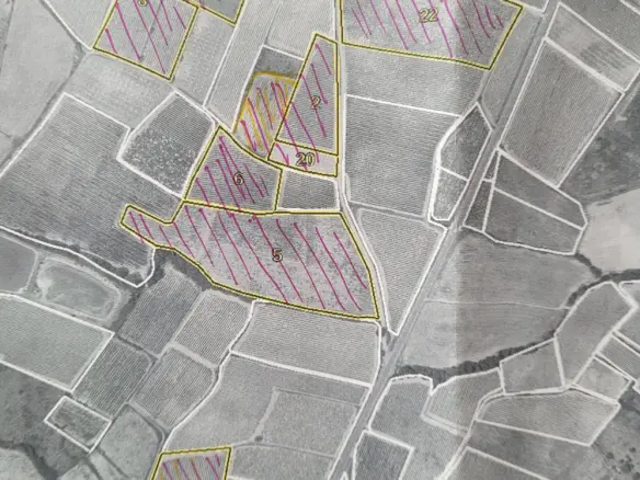 Land In Magalas, France (106.004 M² Plot)