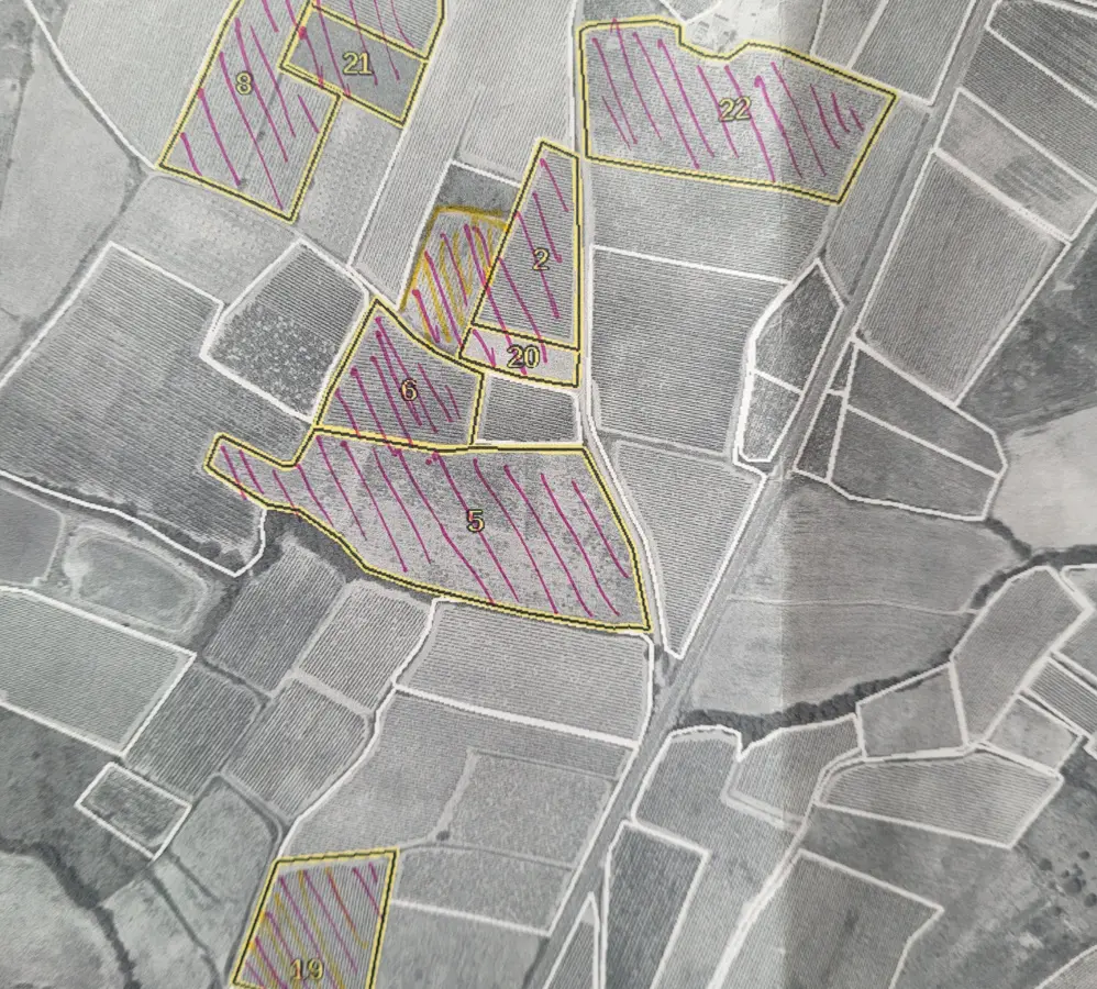 Land In Magalas, France (106.004 M² Plot)