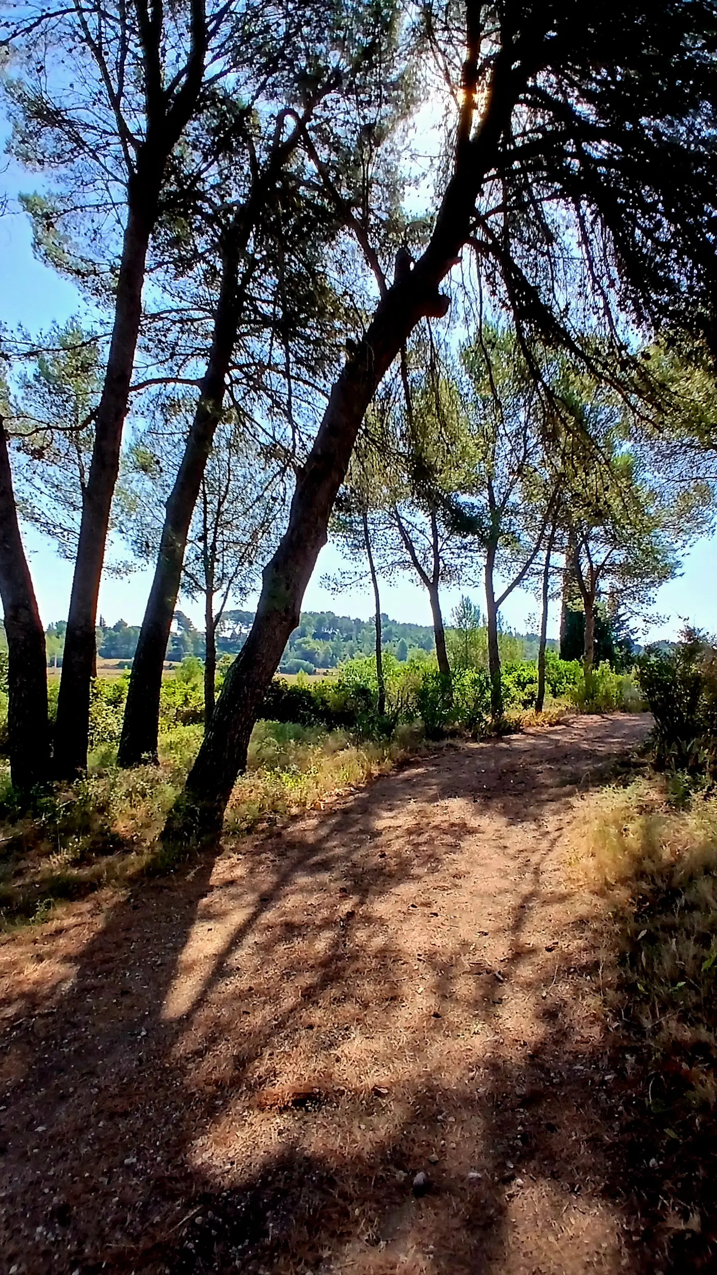Detached House Of 220 M² In Murviel Les Beziers, France