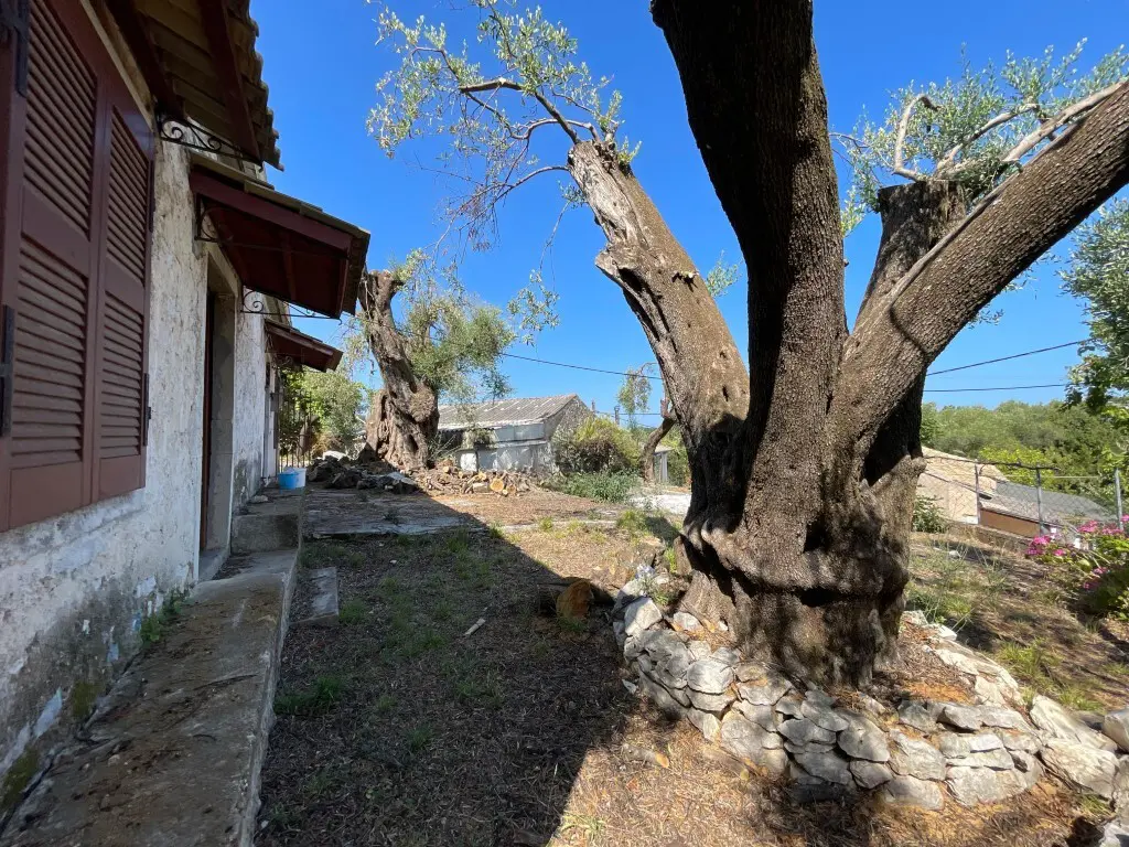 Detached House In Corfu, Greece (87 M²)