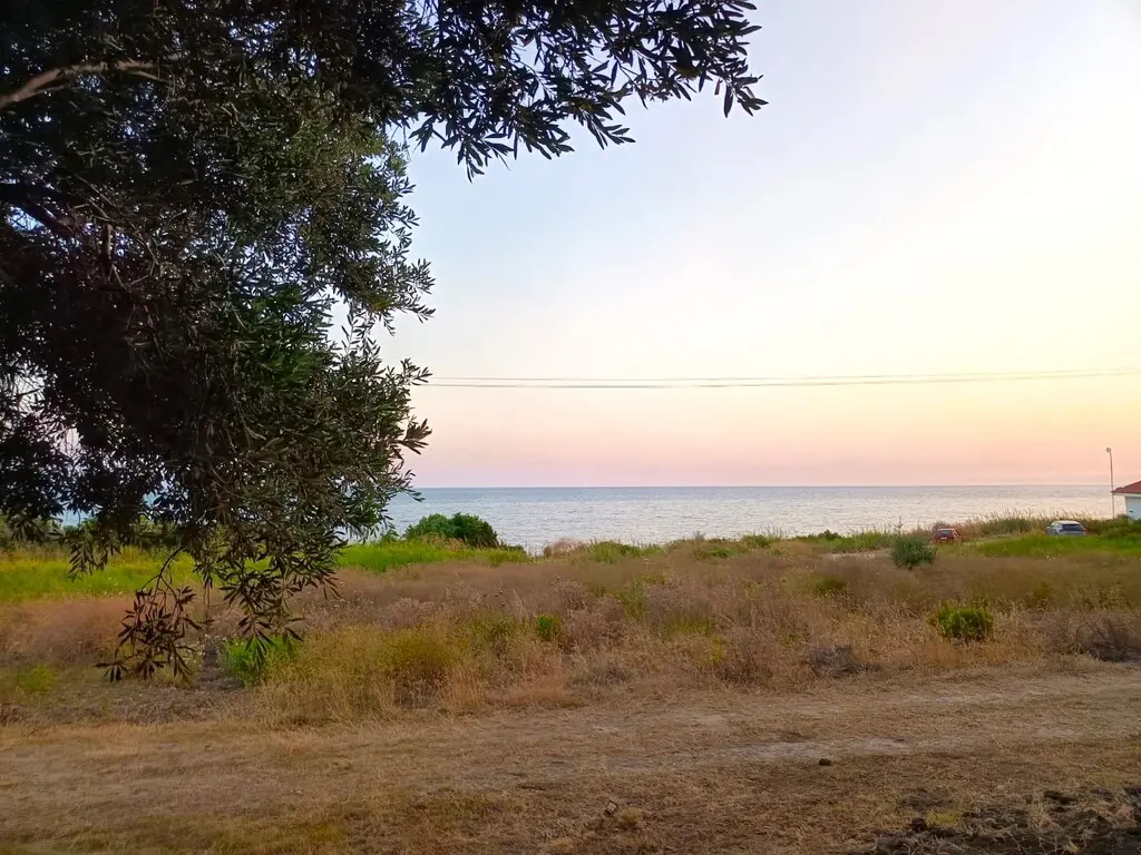 Large Plot Of Land 30000 M² Located In Epirus Region