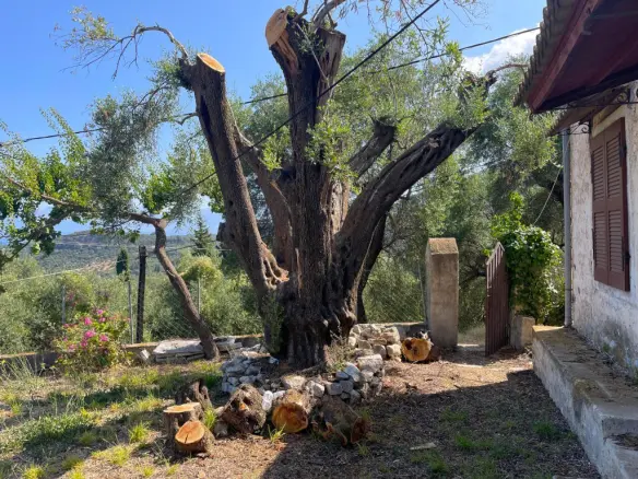 Detached House In Corfu, Greece (87 M²)