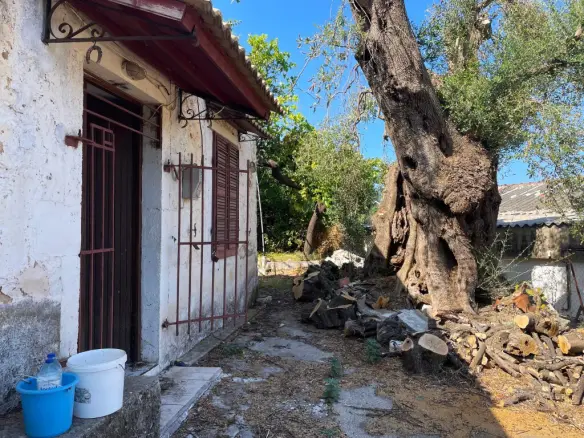 Detached House In Corfu, Greece (87 M²)