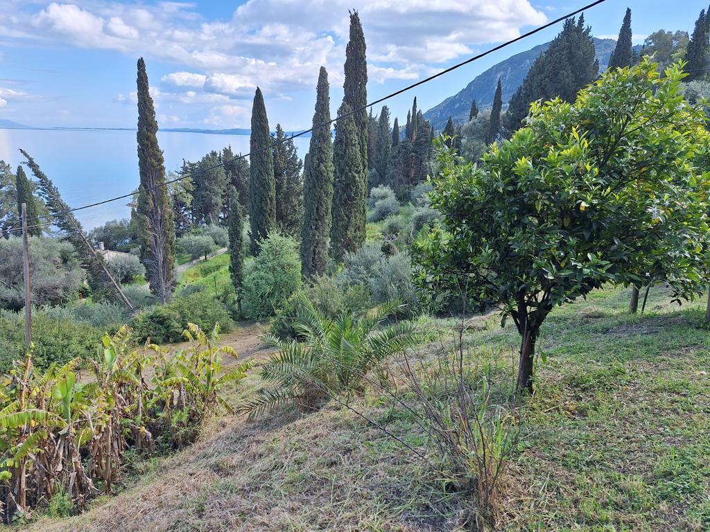 Detached House Of 150 M² In Corfu