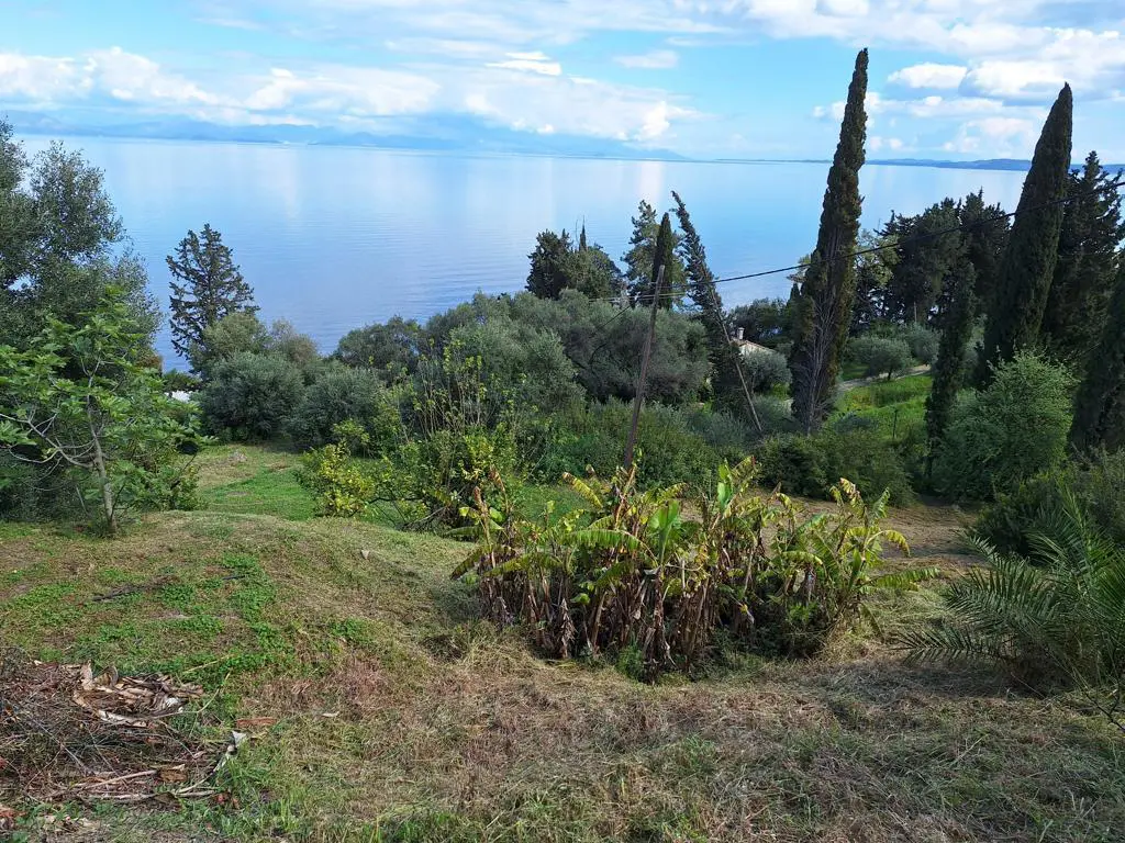 Detached House Of 150 M² In Corfu
