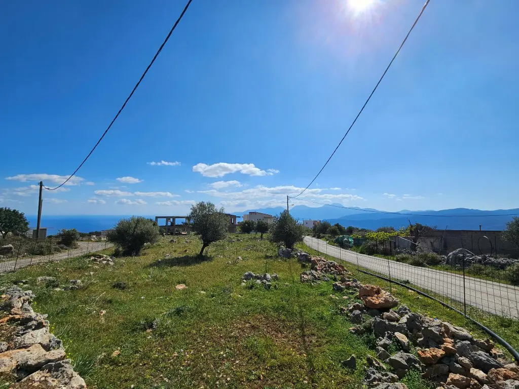 Land Of 2454 M² In Crete