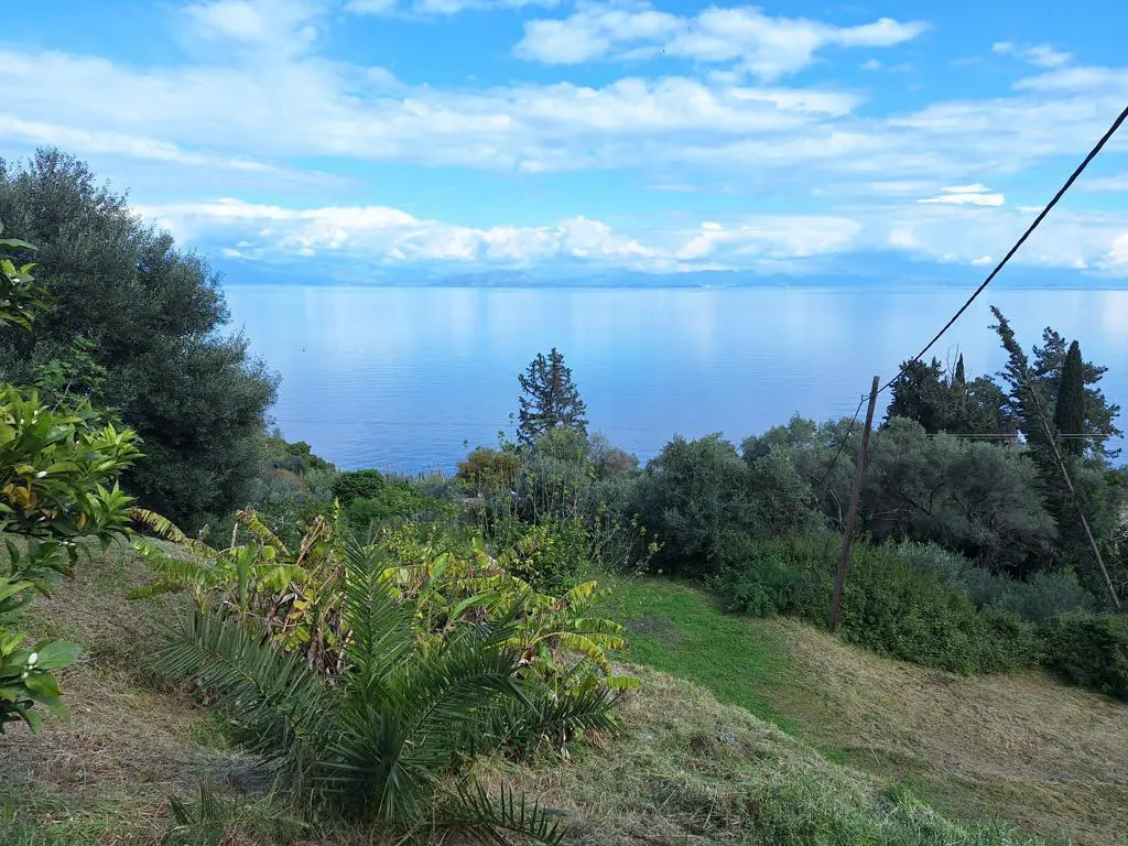 Detached House Of 150 M² In Corfu