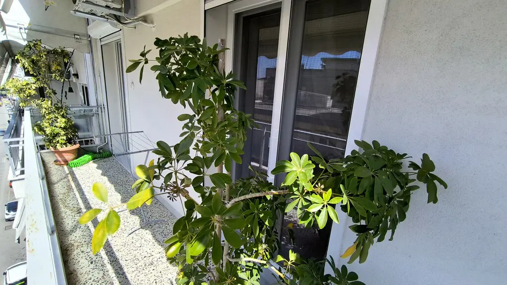 Flat Of 85 M² In Olympic Coast