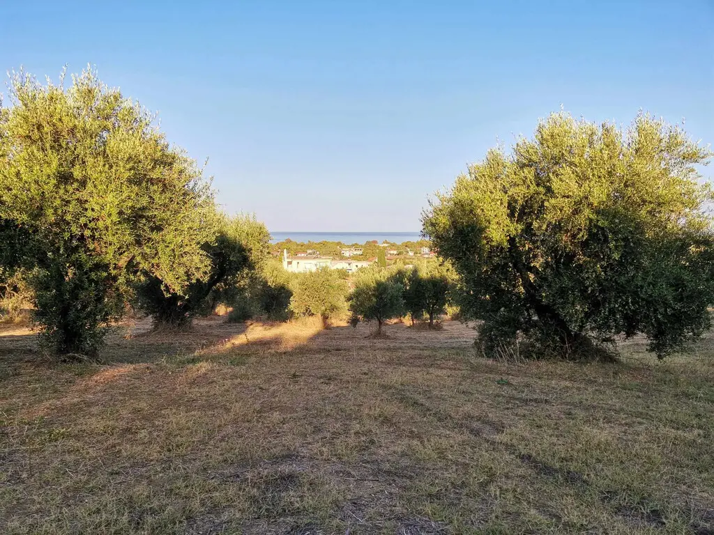 Land Of 6253 M² In Peloponnese